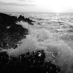 APIs Drive Agent-Powered Service Integrations at Scale