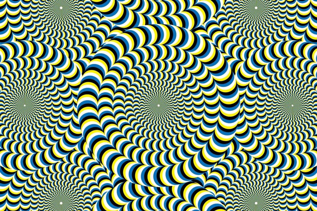 PredNet Neural Network Reproduces Human Visual Illusions