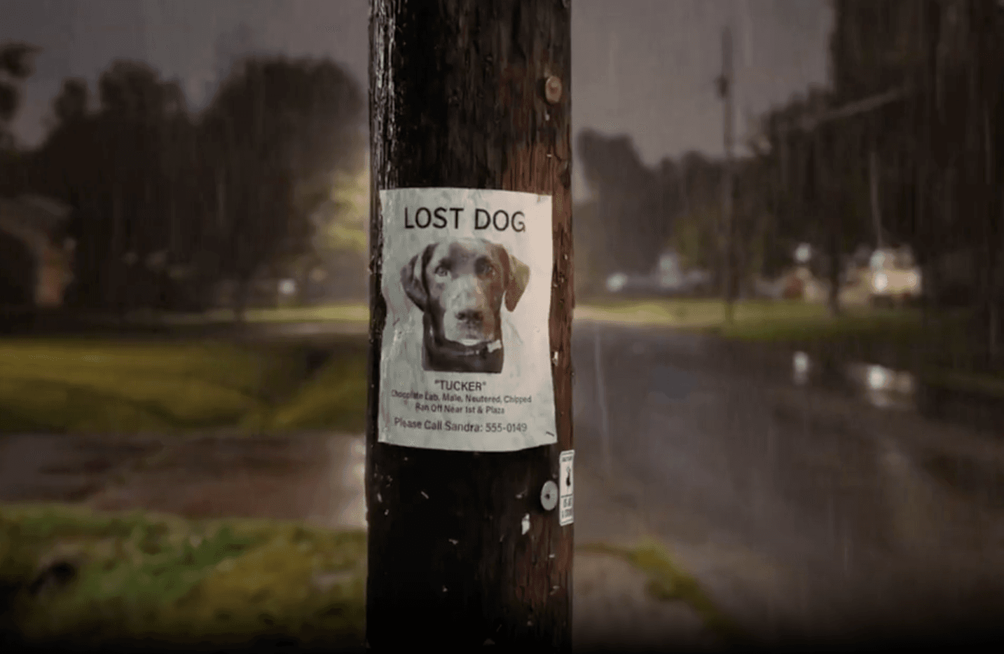 Advertisers Embrace AI In Super Bowl Ads