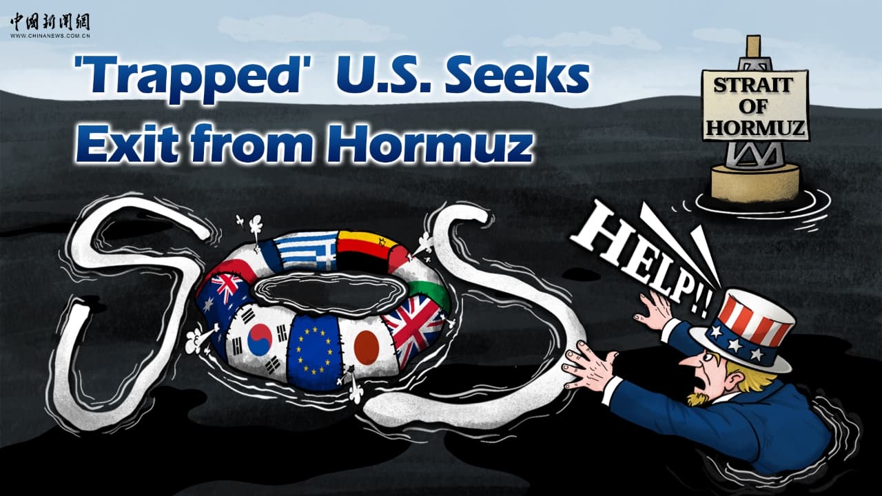 China Showcases Hainan As Opening-Up Gateway