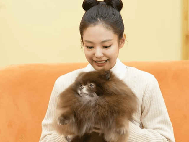 BLACKPINK Members Use Low-Cal High-Protein Lunchboxes