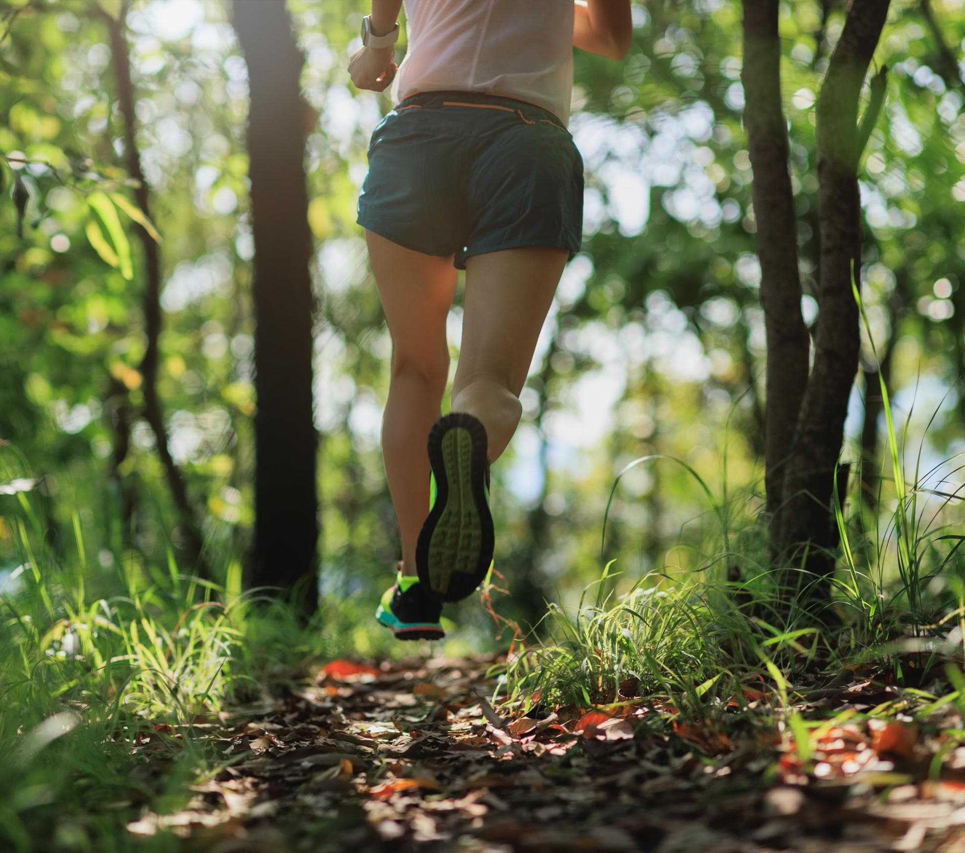 Morning Exercise Reduces Cardiovascular Risk Factors