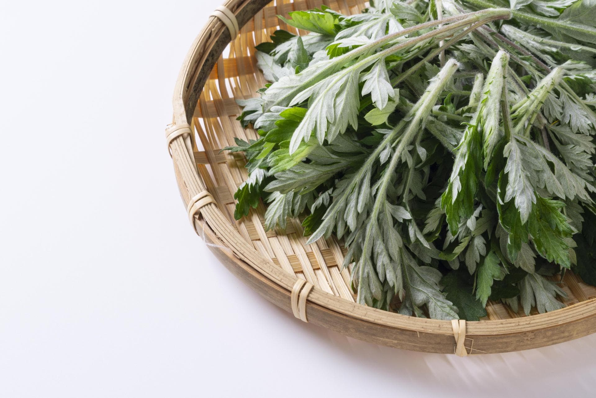 Korean Mugwort Offers Health Benefits And Recipes