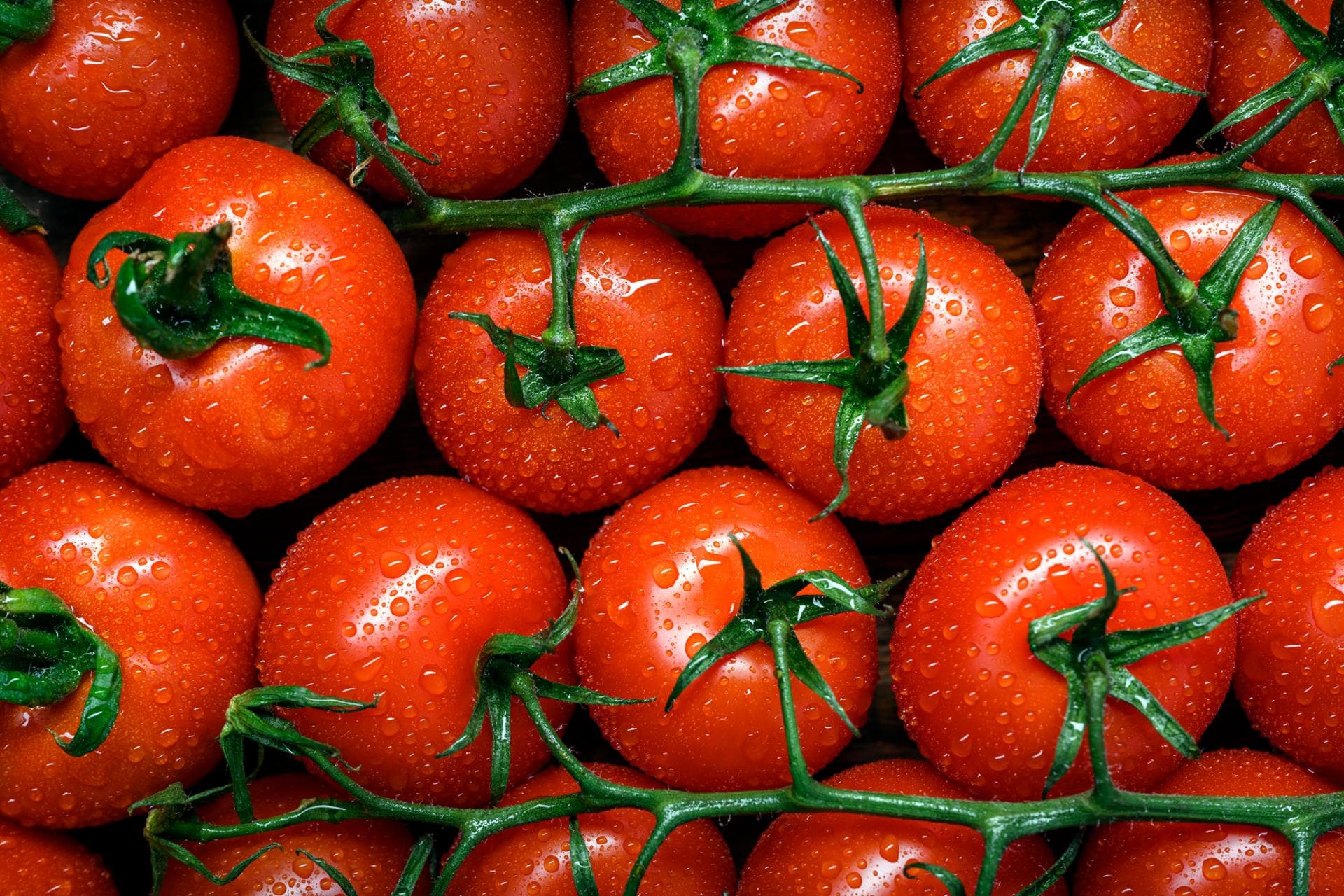 Common Food Pairings Reduce Nutrient Absorption Efficiency