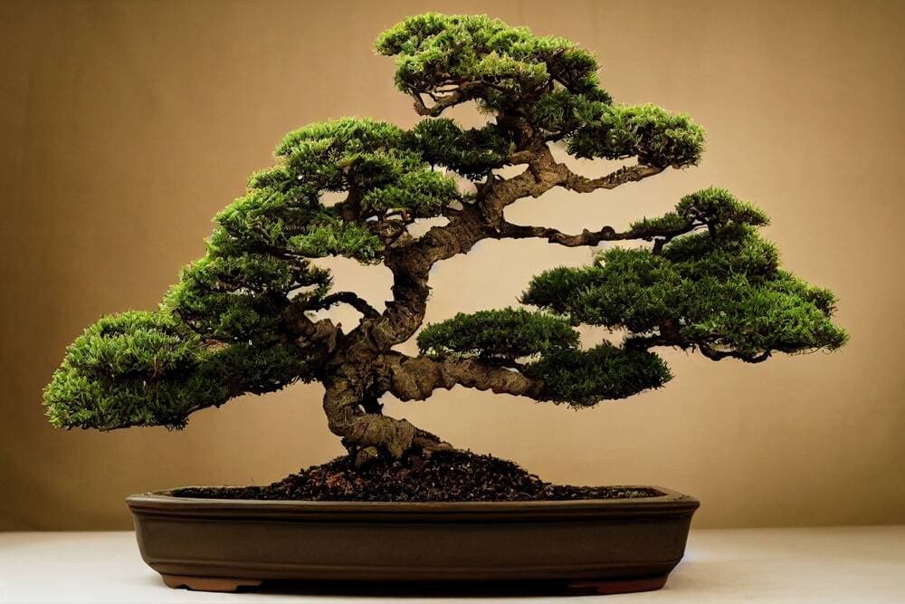 PrismML Releases 1-Bit Bonsai 8B Model