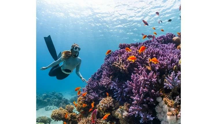 Tour Operators Embrace AI And Smaller Groups