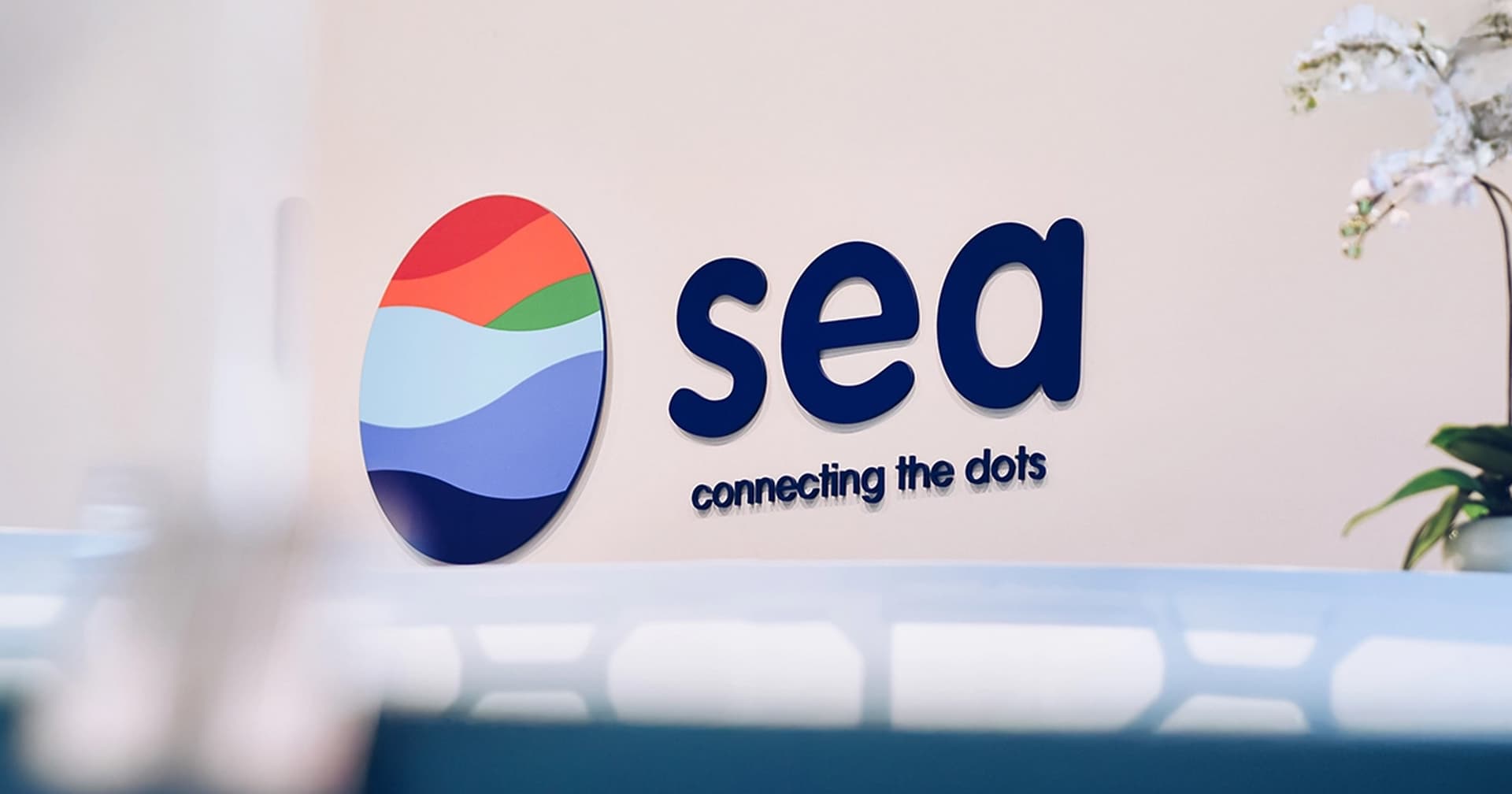 Sea Ltd. Declines Despite Strong Earnings