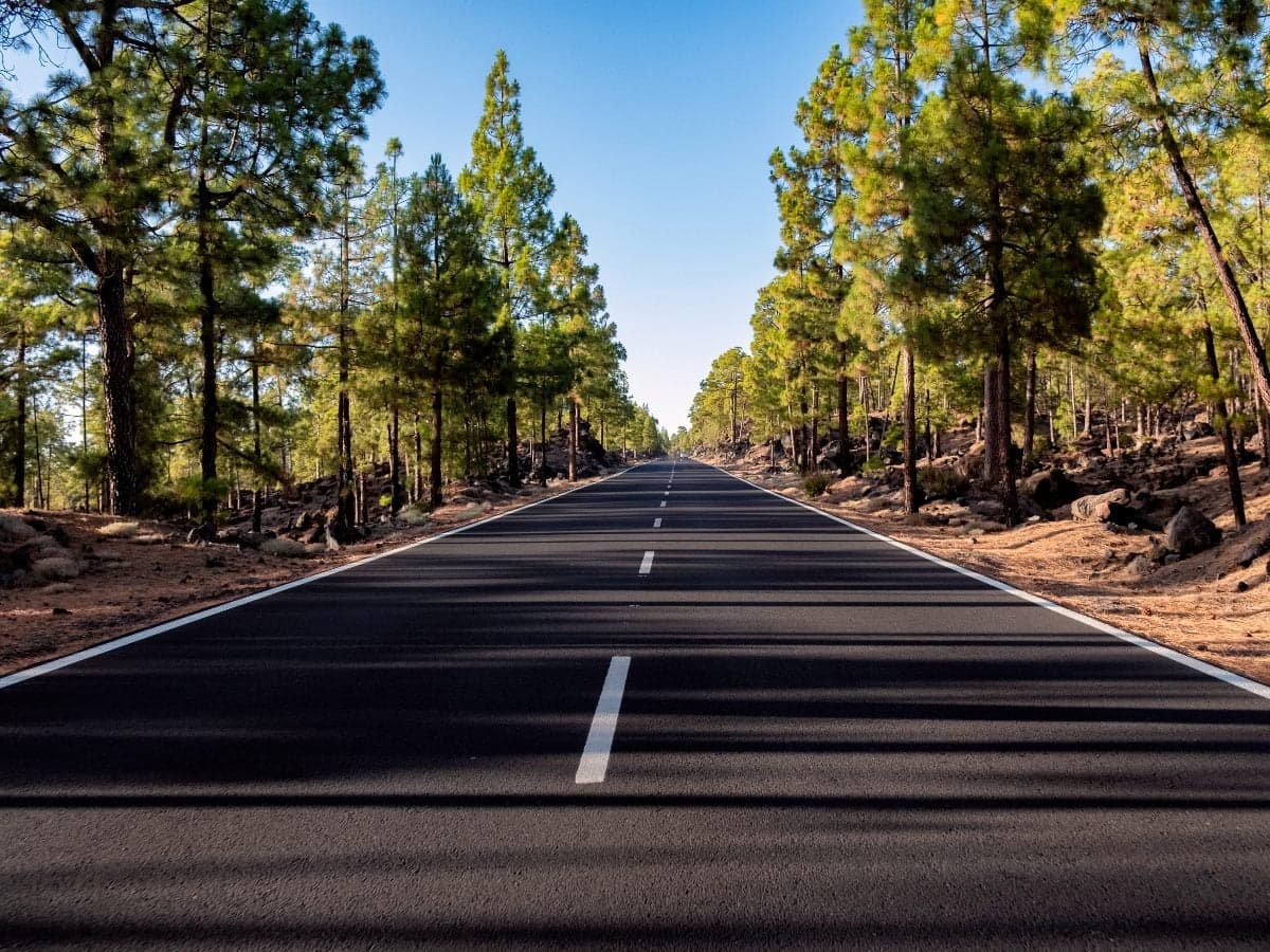 Marketers Evaluate 2025 Predictions Versus Reality