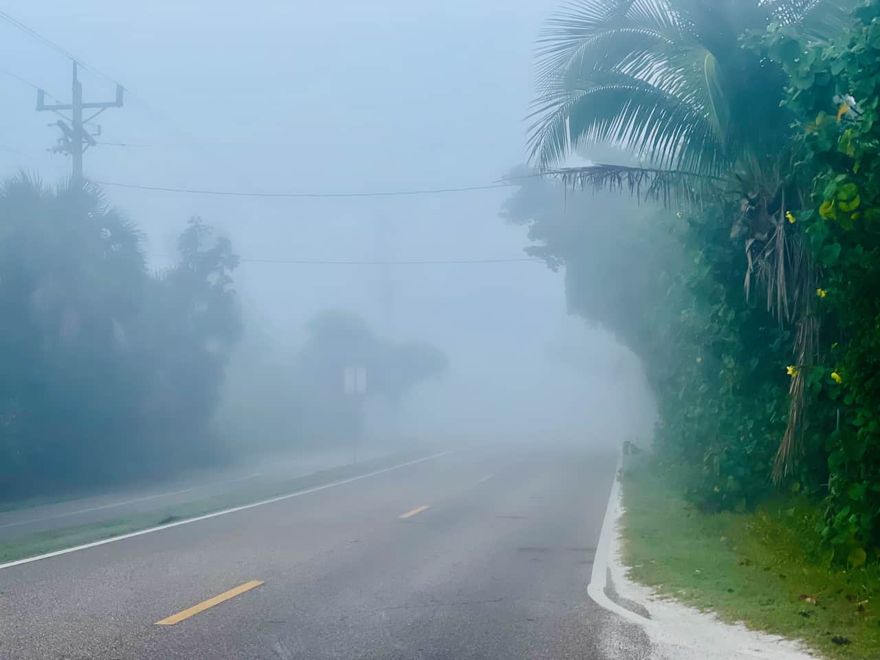 ConsenSys Urges Standards For Autonomous Crypto Agents