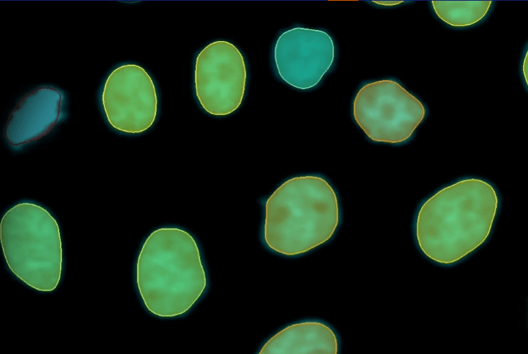 Imaris Introduces Workflow-Driven Image Analysis for Reproducible Microscopy