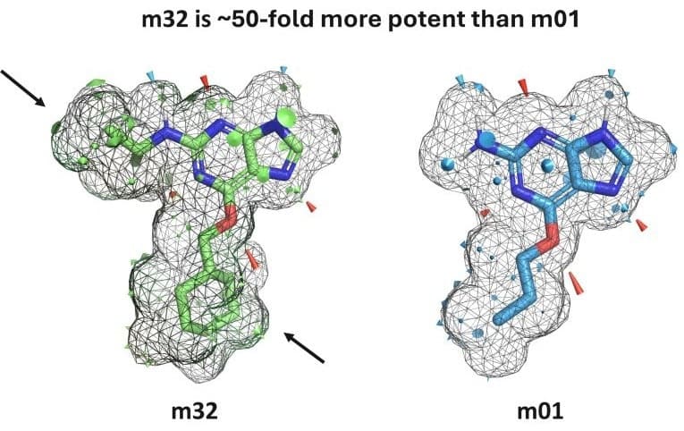 Optibrium Adds QuanSA PyMOL Plugin For Affinity Predictions