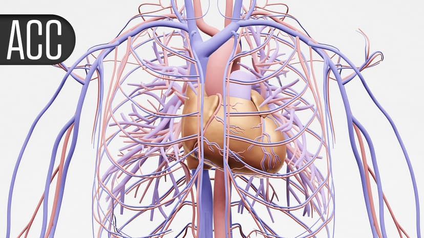 Angiography-Based FFR Matches Wire-Guided Outcomes At One-Year