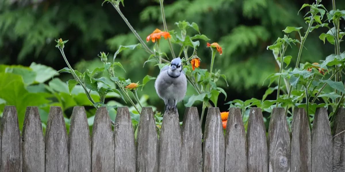 GitHub Copilot Changes Premium Request Billing