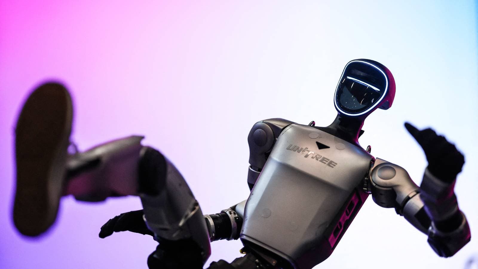 Humanoid Robot Startles Woman, Police Detain It