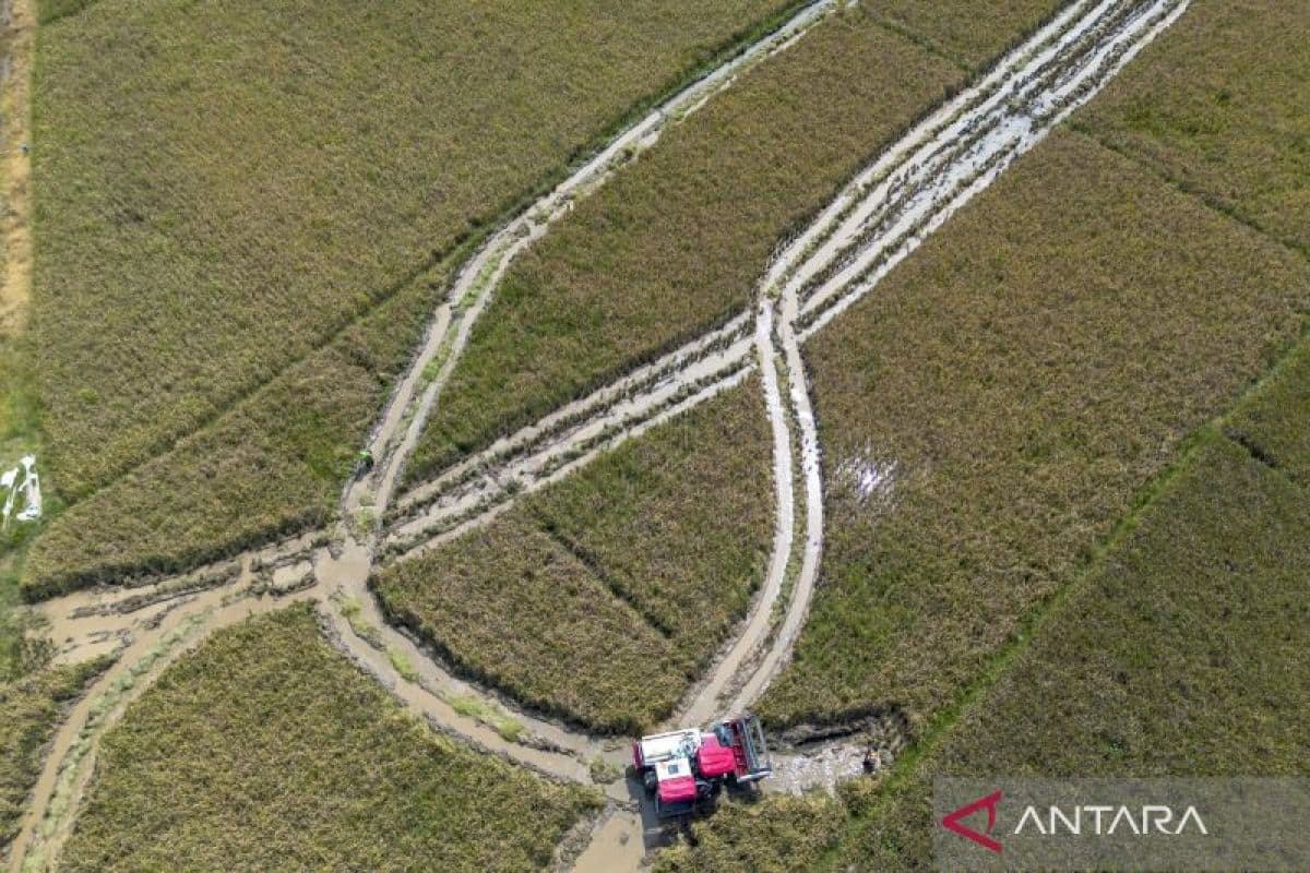 Indonesia Forestry Ministry Supports AI-Based Agriculture