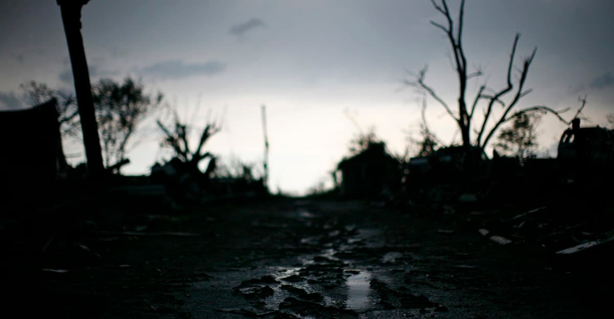 Phoenix Jackson Traverses Harsh Rural Landscape