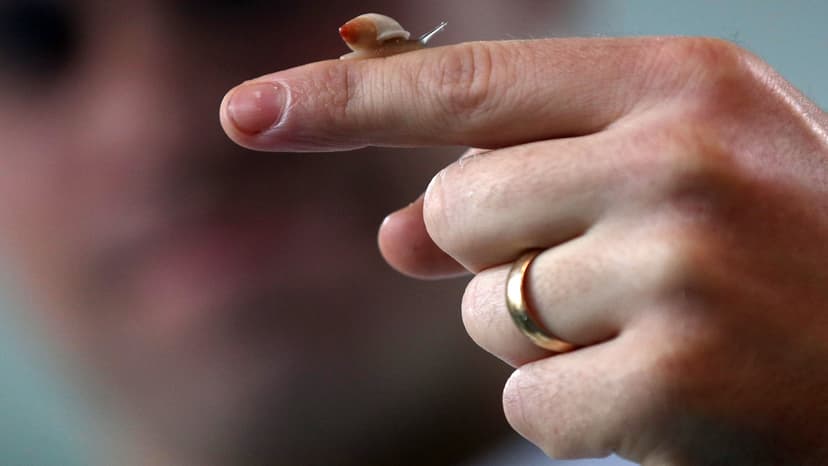 Manchester Researchers Develop Snail-Inspired Soft Robots