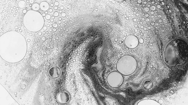 Anthropic Settles Copyright Claims For Pirated Books