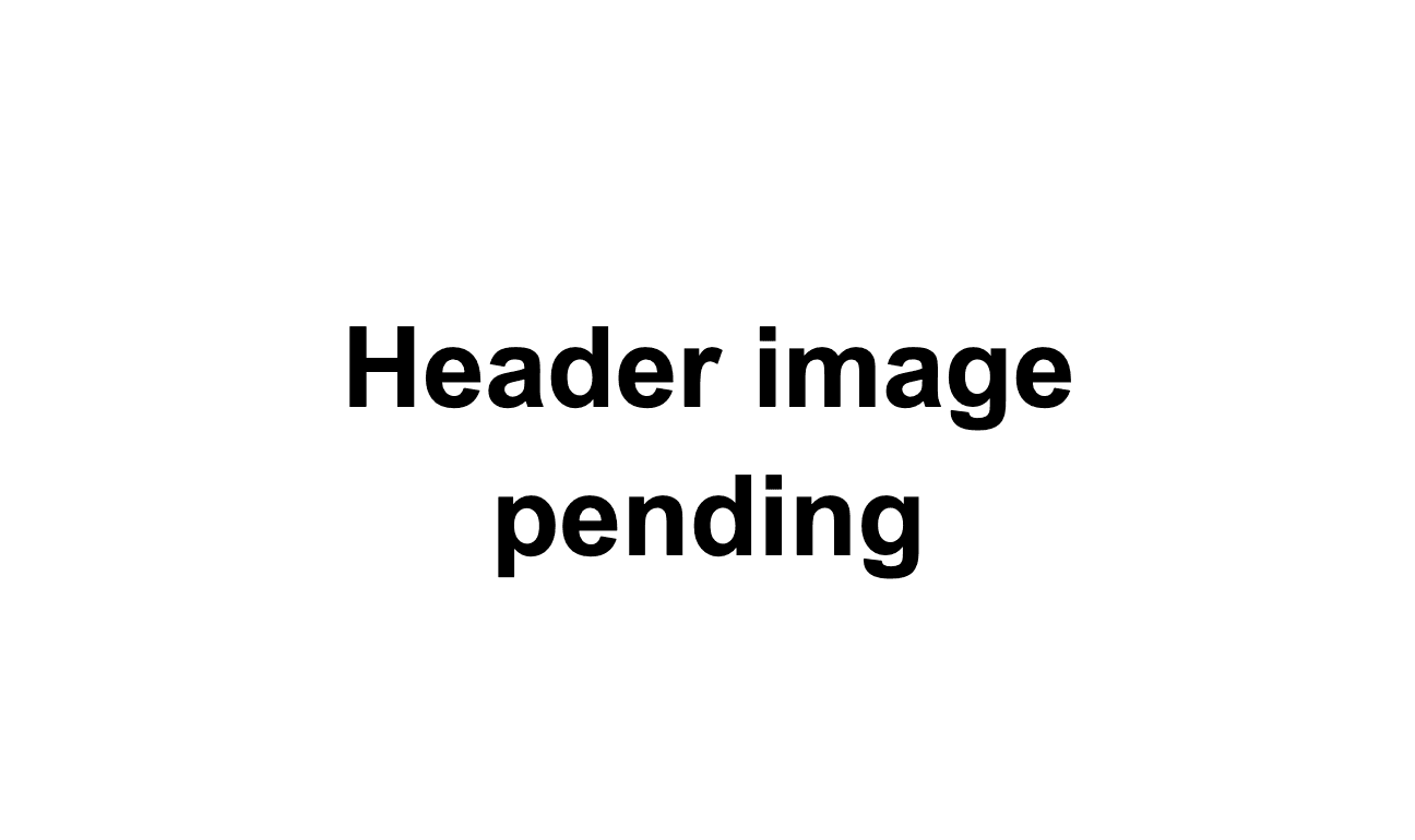 Elastic Cloud Serverless Changes Versioning Model