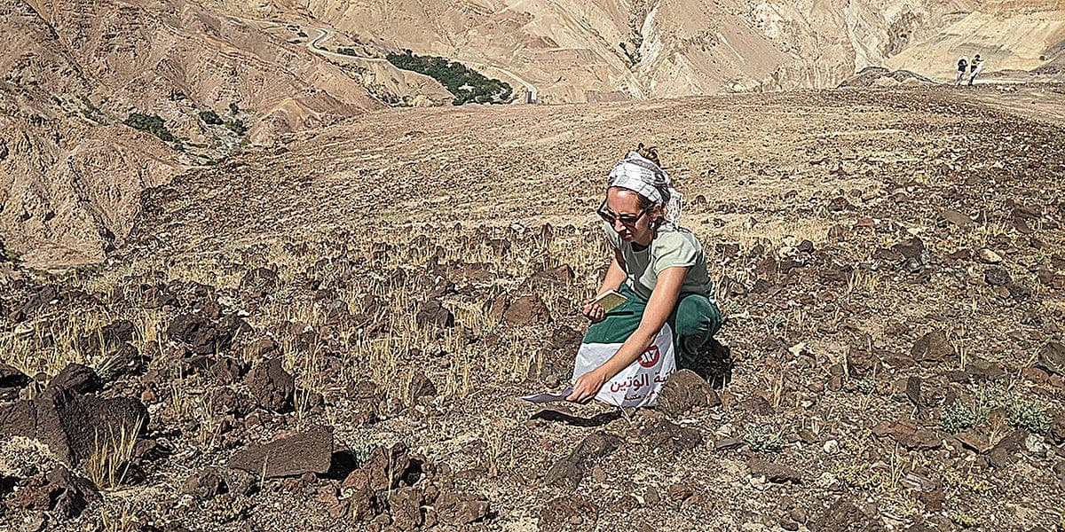 Wild Plant Ranges Contract After Ice Age