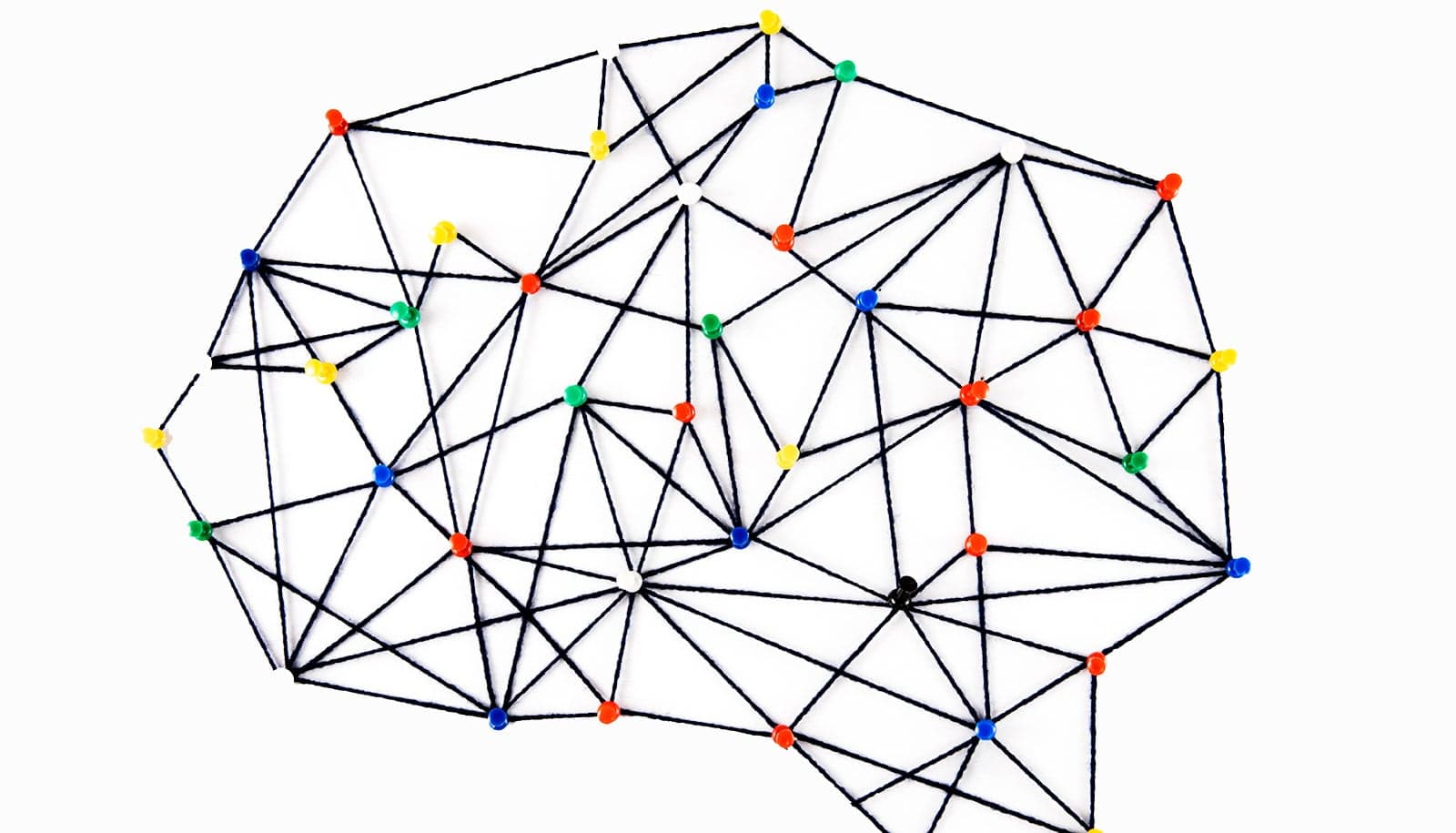Researchers Show Network Organization Underpins Intelligence