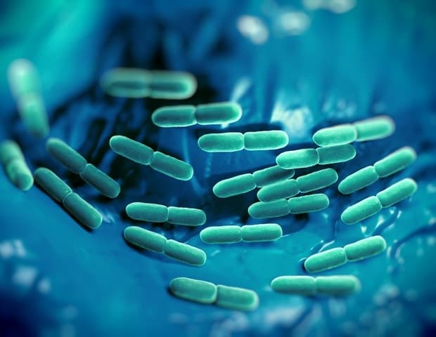 Interpretable XGBoost Predicts 28-Day Mortality in Sepsis ARF